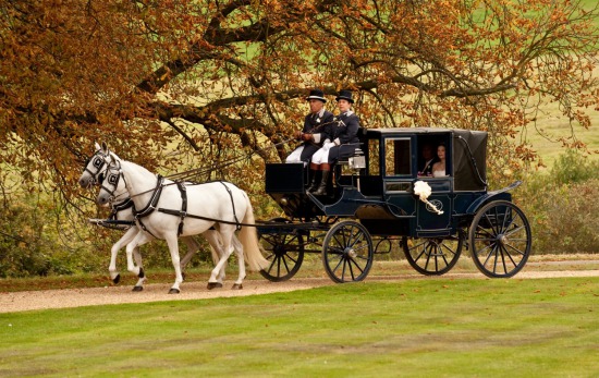 theWedding