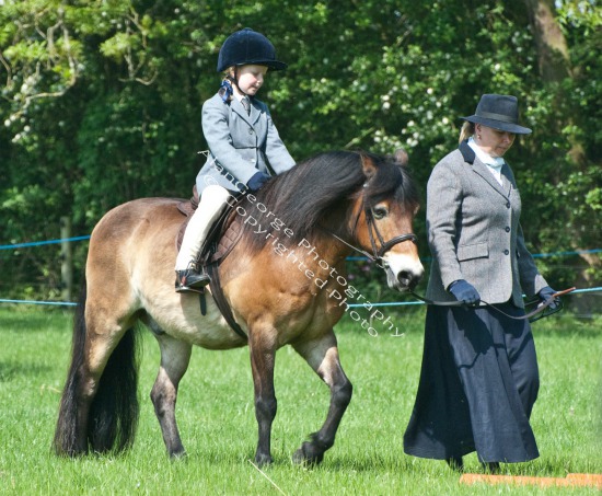 South Kilworth Horse Show
